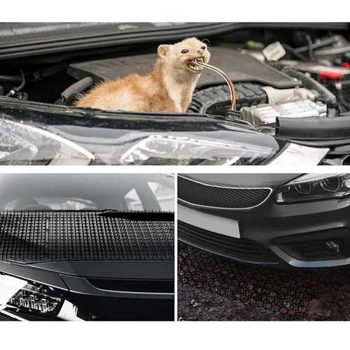 mata z kolcami przeciw kotom, kunom, psom